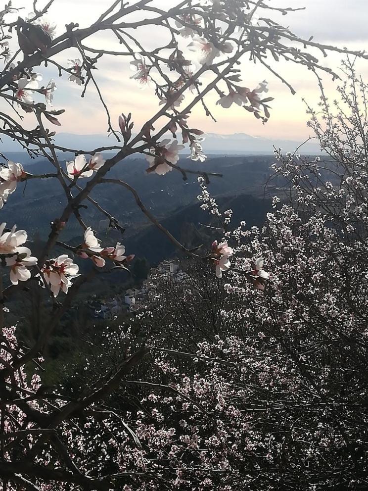 Вилла El Mirador De Castril - Granada Экстерьер фото